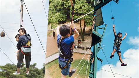 Most Popular: MegaZip, Climb & Jump .